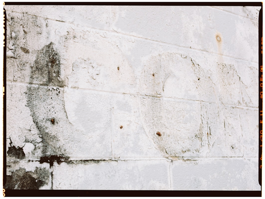 Mold Remediation service in Laredo, TX